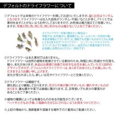 画像5: 木の帽子〜MADE OF WOOD〜/キャスケット(桜) (5)